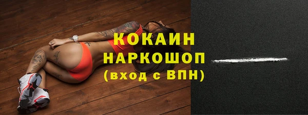 a pvp Ельня