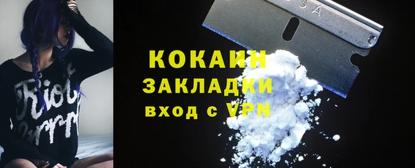 a pvp Ельня
