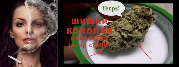 a pvp Ельня