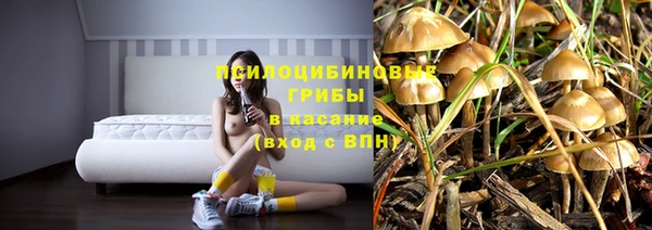 ALPHA-PVP Гусиноозёрск