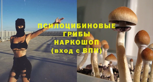 ALPHA-PVP Гусиноозёрск